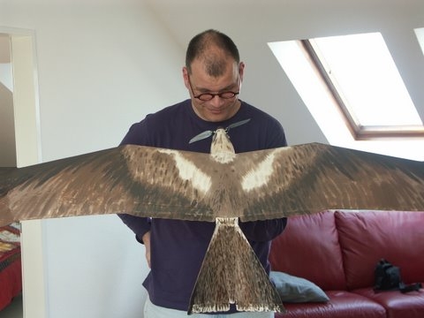 Rotmilan 130 cm